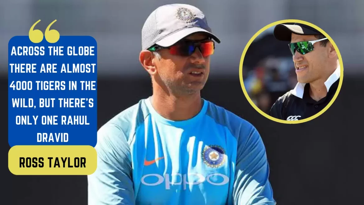 ‘There Are Almost 4,000 Tigers in The Wild, But There’s Only One Rahul Dravid’: Ross Taylor